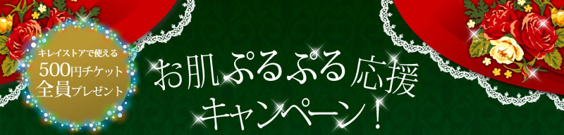 ���쥤���ȥ��ǻȤ���500�ߥ����å������ץ쥼��ȡ���ȩ�פ�פ���祭���ڡ���