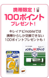���Ӹ��ꡪ100�ݥ���ȥץ쥼��ȡ�