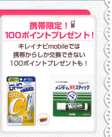 ���Ӹ��ꡪ100�ݥ���ȥץ쥼��ȡ�