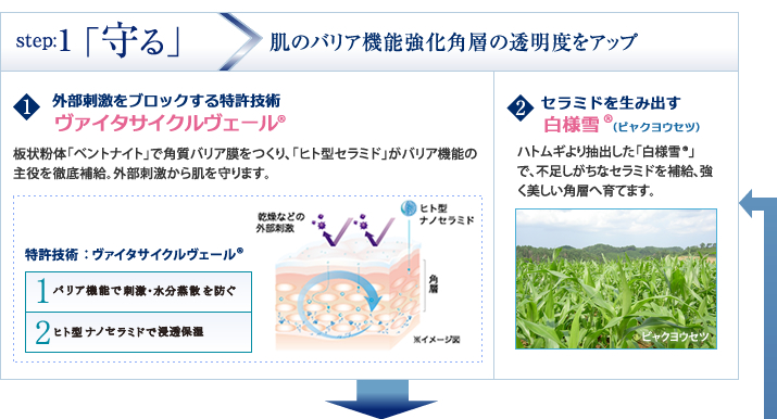 step:1 �ּ���