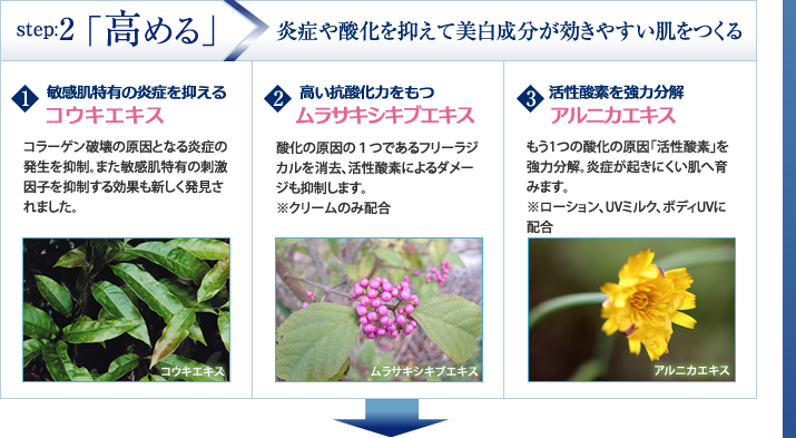step:2 �ֹ����