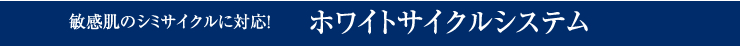 �Ҵ�ȩ�Υ��ߥ���������б������ۥ磻�ȥ������륷���ƥ� 