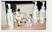 ޥåȤǥץ쥤ȤäƤ⥭塼ȡ