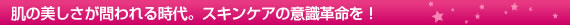 ȩ�����������������塣�����󥱥��ΰռ���̿��