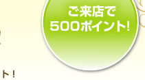 ����Ź��500�ݥ���ȡ�