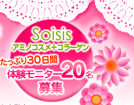 Soisis���ߥΥ�����ܥ��顼���� ���äפ�30�����θ���˥���20̾�罸