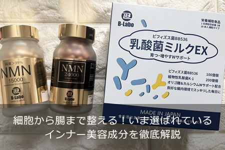 ��˦����Ĳ�ޤ������롪�������Ф�Ƥ��륤��ʡ�������ʬ��Ű�����