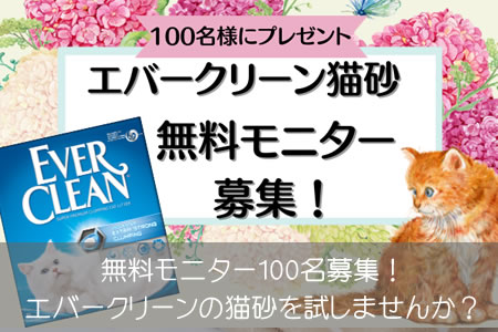 ̵˥100̾罸С꡼ǭƤߤޤ󤫡